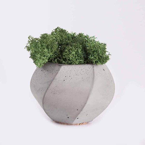 plant4-free-img Piorro Quisquam